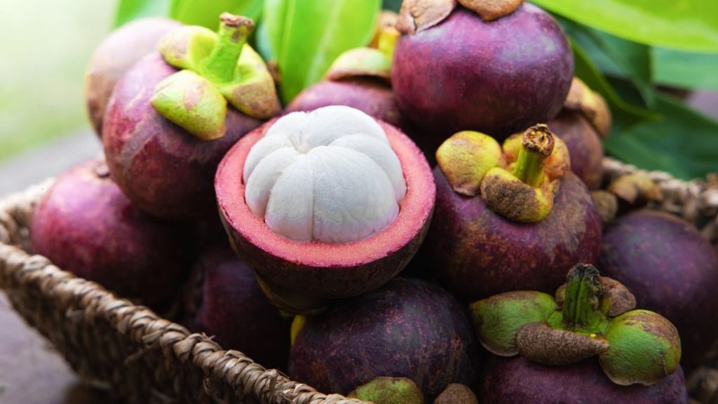 The Benefits of Mangosteen for Skin Care