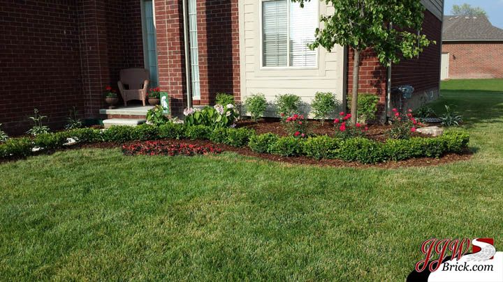Modern Landscape Plant Installation Blending Aesthetic Elegance With Practical Growth